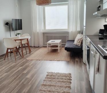Jyvaskyla Appartement | Väinö Apartment 13