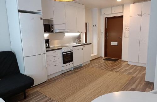 Jyvaskyla Appartement | Väinö Apartment 13