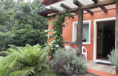 Gramado Appartement | V do Lago Negro