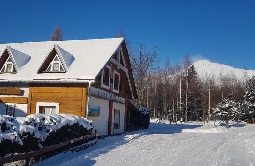 Velky Slavkov Maison | V ihličí