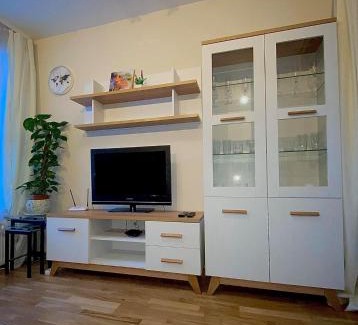 Cesis Appartement | Vaļņu Ielas Apartments