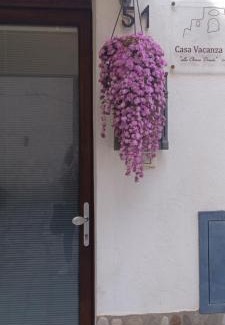 Grottole Maison | Vacanza alla Chiesa Diruta