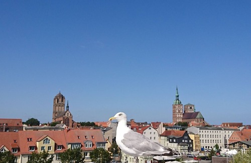 Tribseer Siedlung Appartement | Appartement à Stralsund ville patrimoine de l'UNESCO, proche plages mer Baltique