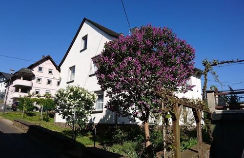 Ellenz Appartement | Appartement Ewa - vacances au coeur de Moselkrampens