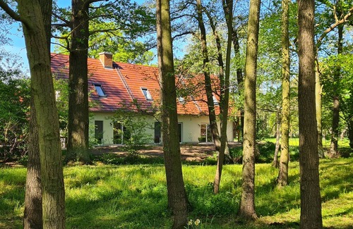 Burg-Dorf Appartement | Vacation apartment "Leipe" (ground floor) - in the four-sided courtyard