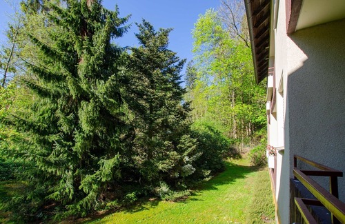 Bad Sachsa Appartement | Vacation apartment/apartment for 4 guests with 58m² in Bad Sachsa (163691)