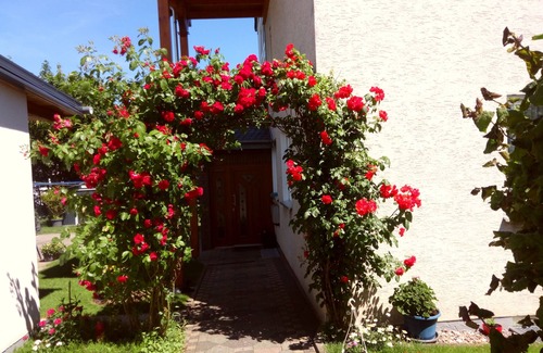 Beverungen Appartement | Vacation apartment/apartment for 5 guests with 62m² in Beverungen (143186)