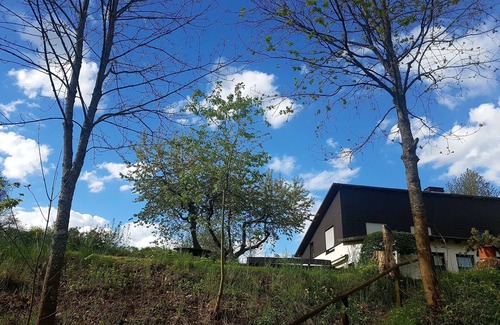 Hallenberg Appartement | Vacation apartment/apartment for 5 guests with 74m² in Hallenberg (187959)