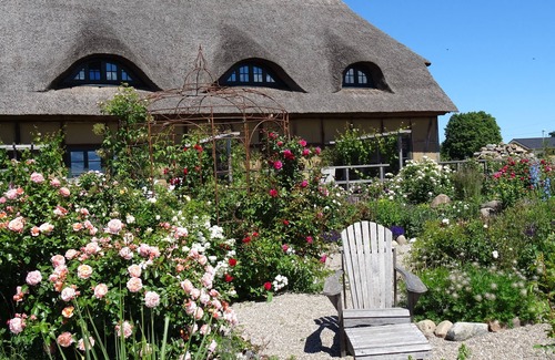 Blowatz Appartement | Vacation apartment/apartment for 2 guests with 38m² in Blowatz (133395)