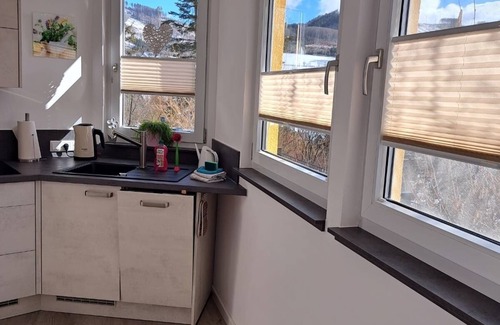 Elleringhausen Appartement | Vacation apartment/apartment for 4 guests with 80m² in Olsberg (148707)