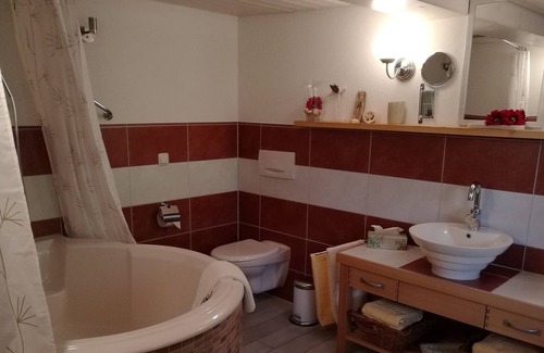 Frohnd Appartement | Appartement / app. pour 4 personnes à 95 m² à Fröhnd (89654)