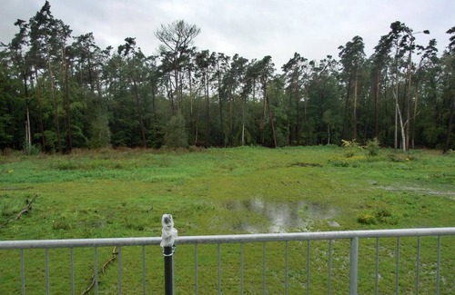 Gelbensande Appartement | Vacation apartment KWi 17 OG "Küsten-Koje" - 2-room vacation apartment for 3 people with WLAN