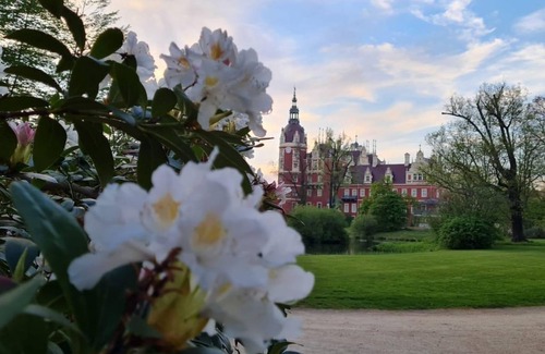 Bad Muskau Appartement | Vacation apartment "Grün" - Apartments Stricker