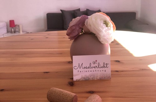 Issel Appartement | Vacation apartment in love with the Moselle - Apartment, shower, toilet, 1 bedroom