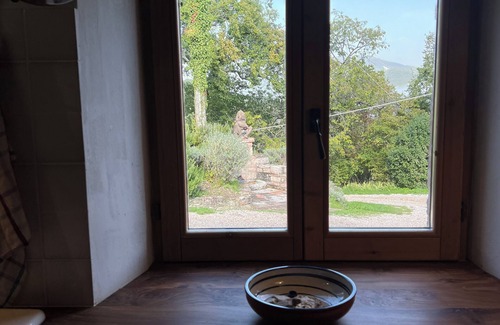 Furlo Appartement | Vacation apartment in the middle of paradise, on Monte Paganuccio / Marche. Nature and tranquillity.