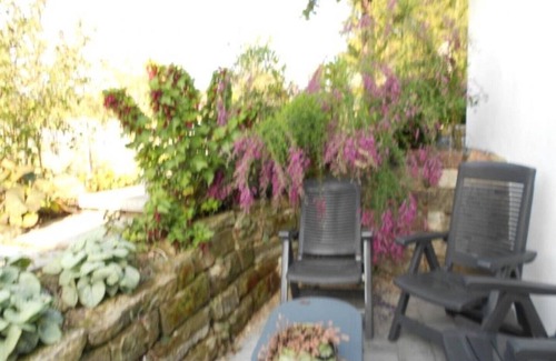 Keskastel Appartement | Vacation apartment no. 1 - Holiday apartments in Alsace