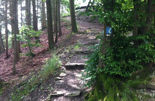 Bendorf Appartement | Appartement Sayn - Jessica Bühler