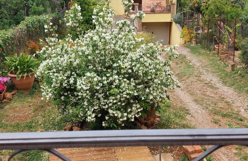 Iglesias Historic Centre Appartement | Vacation apartment the Philadelphus a few kilometers from the sea