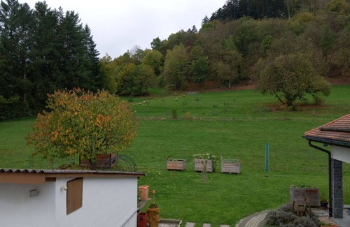 Moerlenbach Appartement | Vacation apartment Zum Bienenstock