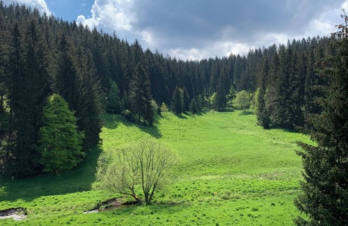 Stutzerbach Maison | Vacation cottage in a quiet location for nature lovers (4 persons)