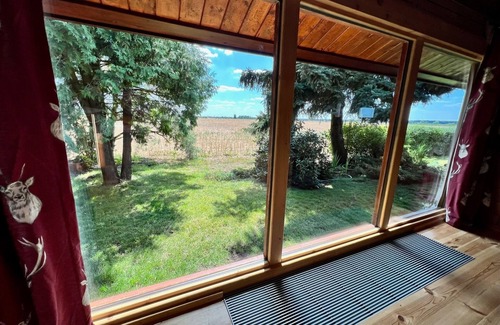 Beilrode Maison | Vacation home for 12 guests with 120m² in Beilrode OT Döbrichau (172727)