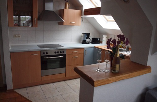 Neundorf Appartement | Vacation apartment/apartment for 3 guests with 150m² in Rosenthal am Rennsteig (148771)