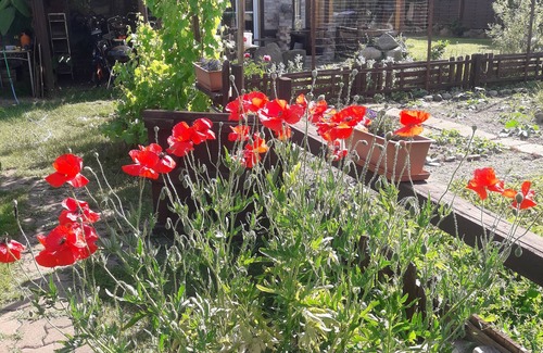 Laage Maison | Vacation home ALTE SCHEUNE up to 5 persons / 3 bedrooms in a quiet location
