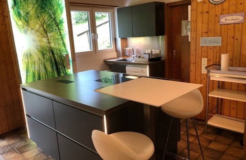 Ortsmitte Maison | Vacation home for 16 guests with 160m² in Willingen (145149)