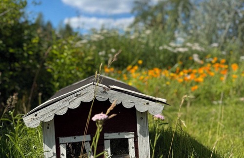 Jarnforsen Maison | Vacation home in Sweden with large garden, close to the lake in Småland