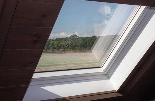 Wingene Maison | Vacation home Lammersdamhoeve: tranquility, space and nature. Dogs allowed!