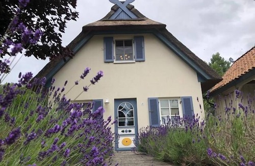 Am Schwarzen Busch Maison | Vacation home "Möwennest" on Poel