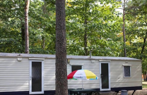 Schaarsbergen Maison | Maison Oostappen Vakantiepark Arnhem à Arnhem - 6 personnes, 3 chambres