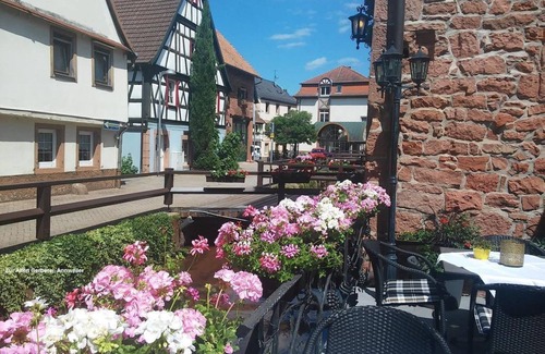 Annweiler am Trifels Appartement | Vacation in Annweiler - 4-bed apartment