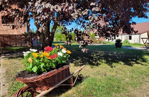 Steffenshagen Appartement | Vacances - repos - nature - mer Baltique - ferme équestre - entreprise familiale! Appartement. N ° 5