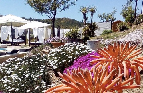 Aldeia dos Palheiros Cottage | Vacation Rental Castro da Cola