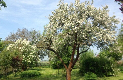 Gusow Appartement | Vacances sur le Hollerhof à Oderbruch