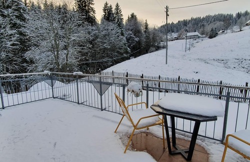 Blasiwald Appartement | Vacation with dog away from the forest near Schluchsee