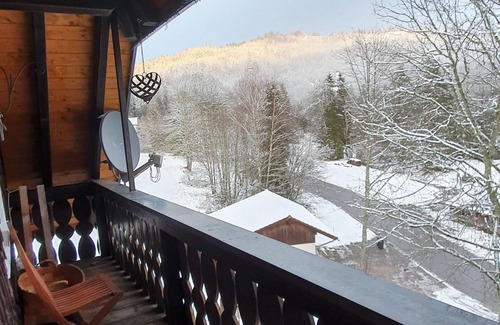 Blasiwald Appartement | Vacation with dog away from the forest near Schluchsee