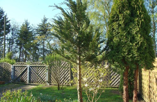 Rothenkirchen Maison | Vacation with dog, vacation home, 150m to the natural beach, fence + winter garden
