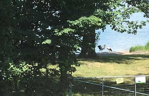 Guettingen Appartement | Vacations close to and above the lake