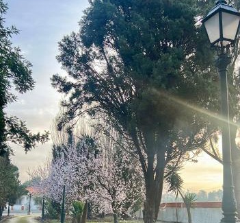 Vagos Maison | Vagos Guest House