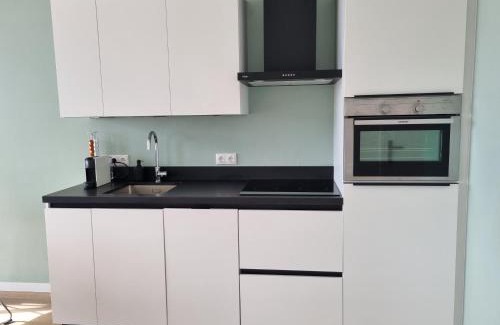 Offingawier Appartement | Vakantie vieren aan het Sneekermeer