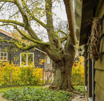 Sevenum Maison | Vakantiehuis De Bonte Specht