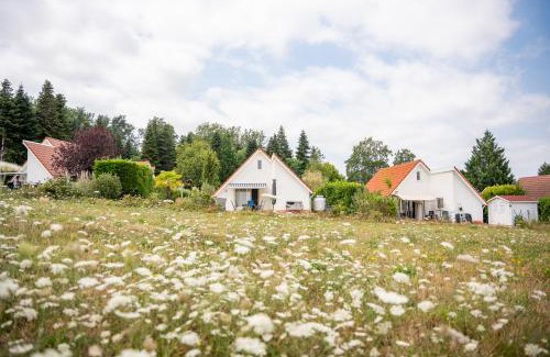 Daumazan-sur-Arize Maison | Vakantiepark Chateau Cazaleres