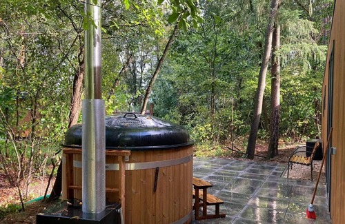 Municipality of De Wolden Chalet De Ski | Vakantiepark De Wiltzangh - Stuga Hottub 4