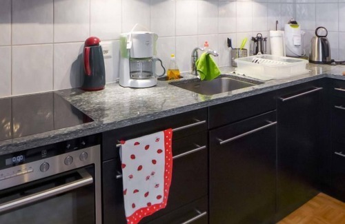 Ormont-Dessus Appartement | Val Neige Apt. 12 by Interhome