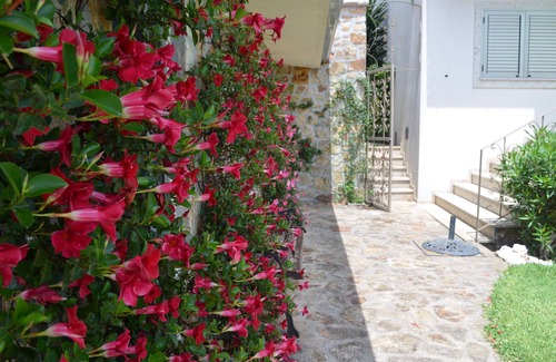 Santa Maria da Feira Maison | Valadas Guest House - Villa 4 chambres avec piscine