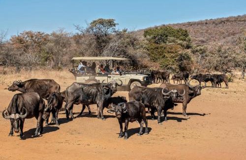 Vaalwater Cabine | Valamanzi Lodge in Nyati Wilderness
