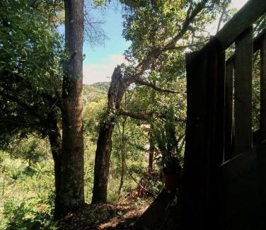 Copey Maison | Valchi Hospedaje de Montaña