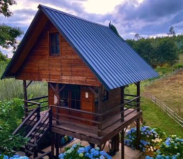 Albergaria-a-Velha Maison | Vale da Silva Villas - Quinta